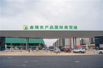 曲靖最大蔬菜交易市场开业蔬菜品质好价格优